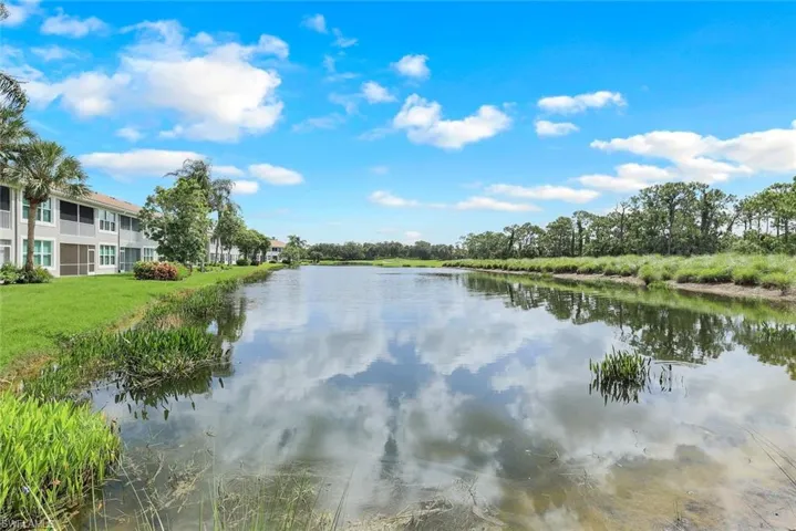 Water view
