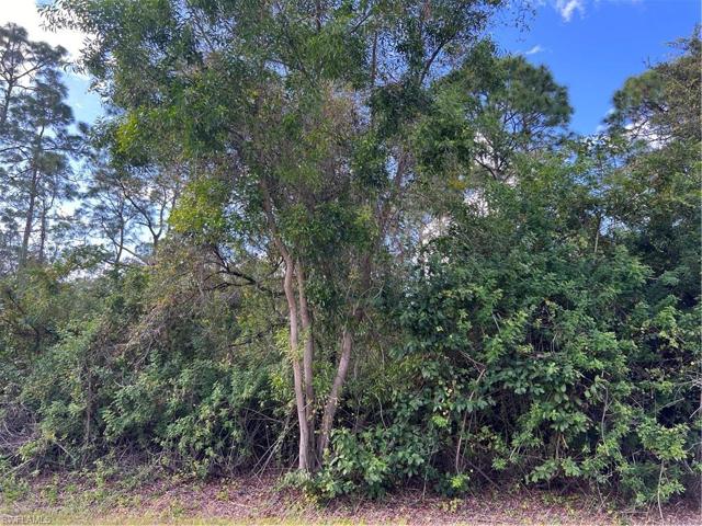 1515 NE GERALD AVE, LEHIGH ACRES FL 33972