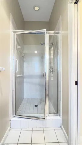 Master Bathroom Shower