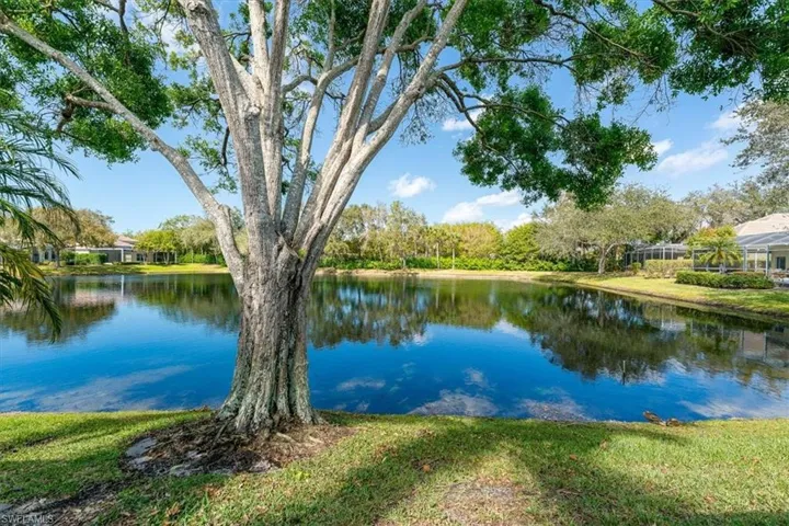 Water view