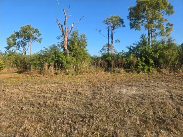 View of undeveloped land