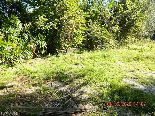 View of undeveloped land