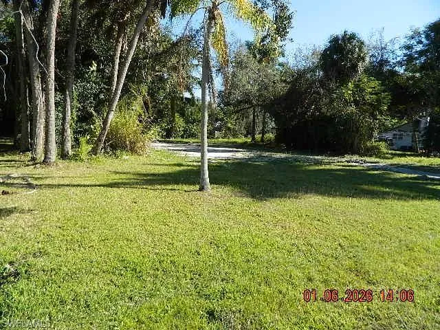 View of grassy yard