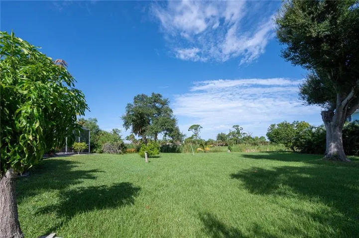 View of yard-2nd lot.