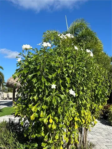 13420  Snook  CIR, Naples, FL 34114