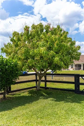 910 Sw 33rd Ter, Cape Coral, Florida 33914