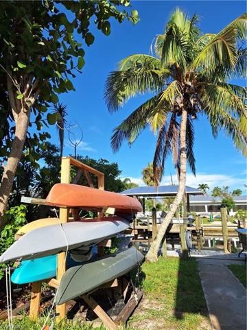 Kayaks