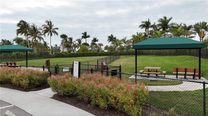 Dog Park