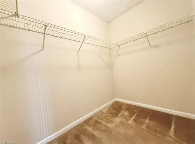 Walk in closet featuring carpet flooring