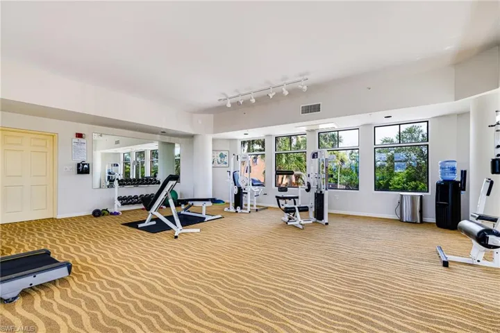 Exercise room featuring carpet, rail lighting, and healthy amount of natural light