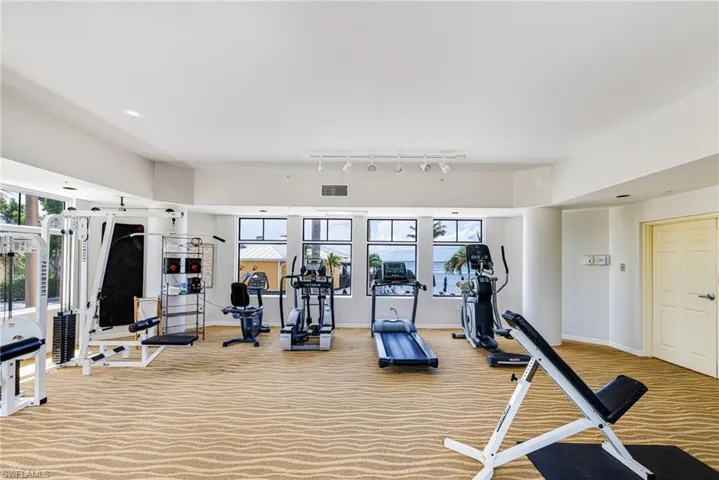 Exercise room with light colored carpet, healthy amount of natural light, and rail lighting