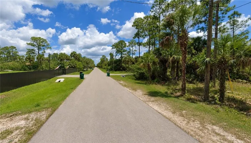 Paved road with expansive green verges featuring mature palm trees and pine trees