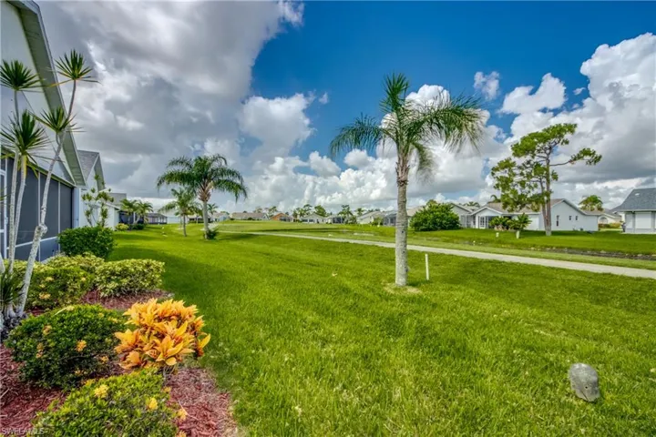Back yard
