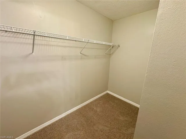 Master Walk in closet with carpet