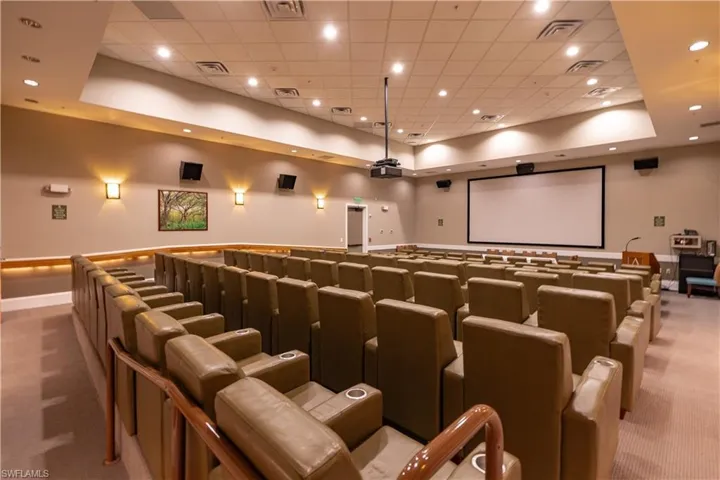 Carpeted cinema room with a raised ceiling and a drop ceiling