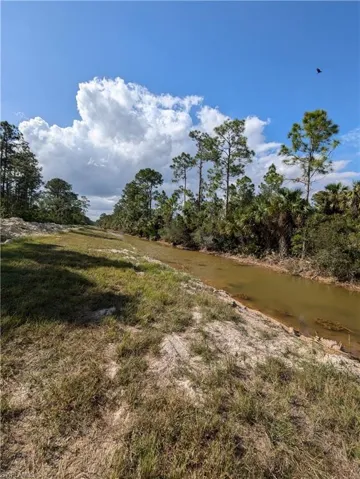 View of local wilderness with a water view
