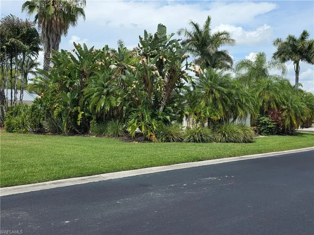 Side Street View