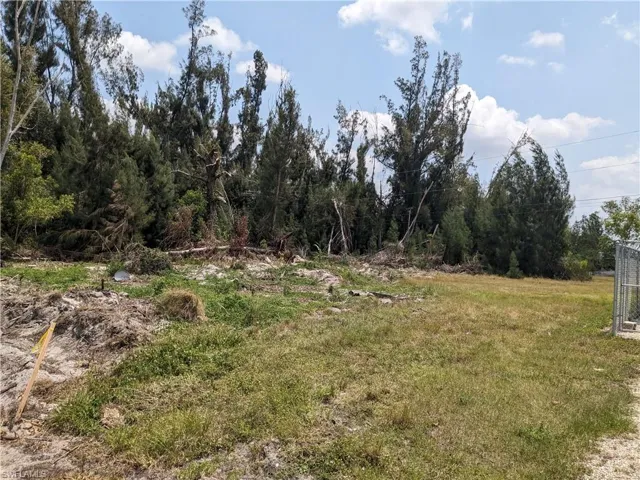 partial cleared Lot