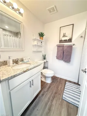 Bathroom with wood finished floors and vanity