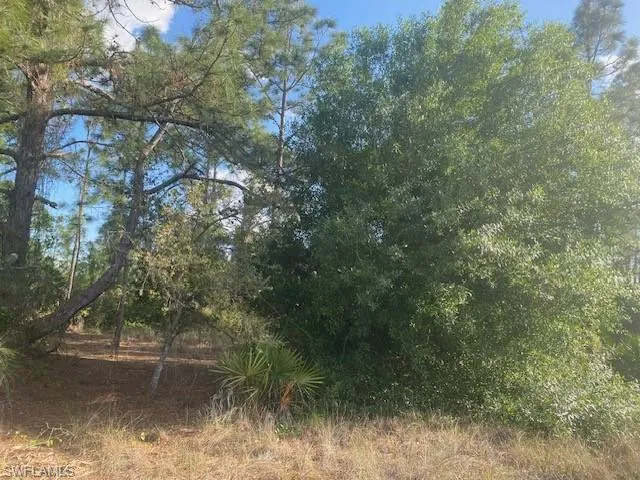 195  Argonne S AVE, Lehigh Acres, FL 33974