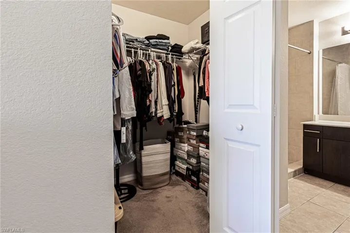 Spacious closet featuring light colored carpet
