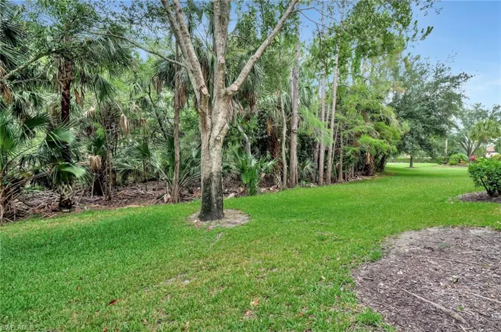 View of green lawn