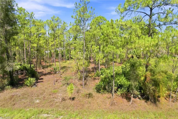 1405 Washington Ave, Lehigh Acres, Florida 33972