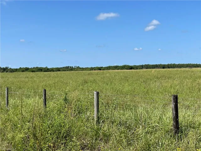 View of local wilderness featuring a rural view