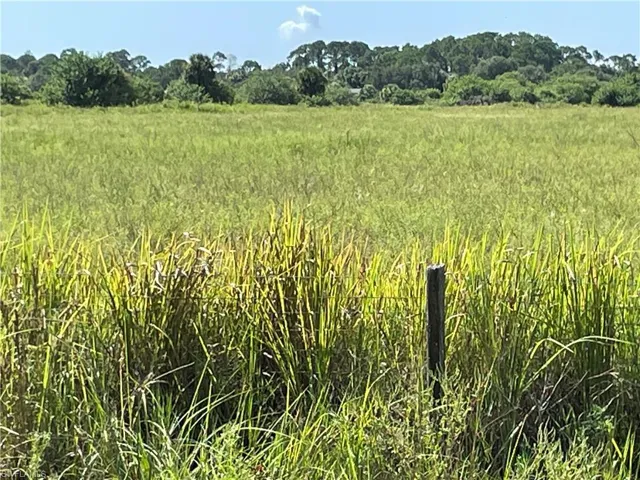 View of nature