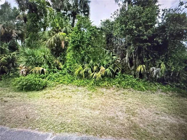 View of nature