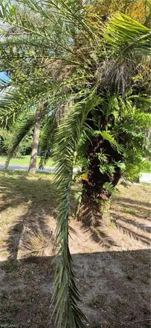 315 Cleveland Ave, Lehigh Acres, Florida 33936
