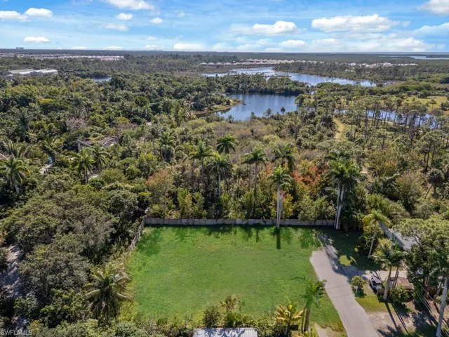 Drone / aerial view of a forest and a nearby body of water