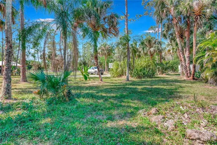 View of front yard