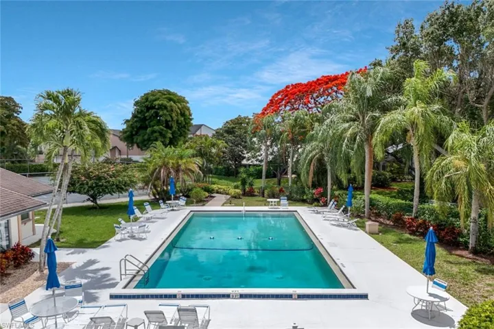 Community pool with lush surroundings