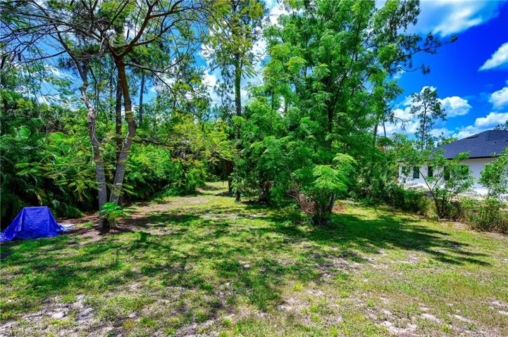 Fenced back yard