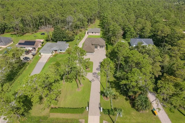 Aerial view of a forest