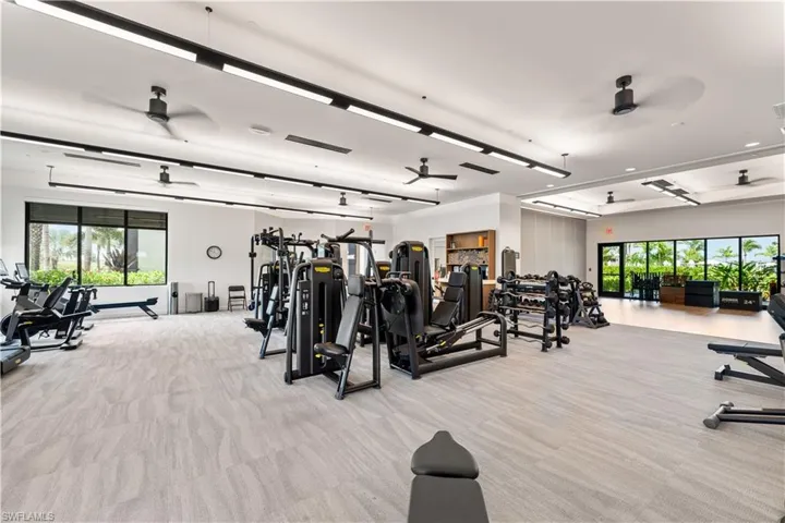 Gym with ceiling fan, light carpet, and plenty of natural light