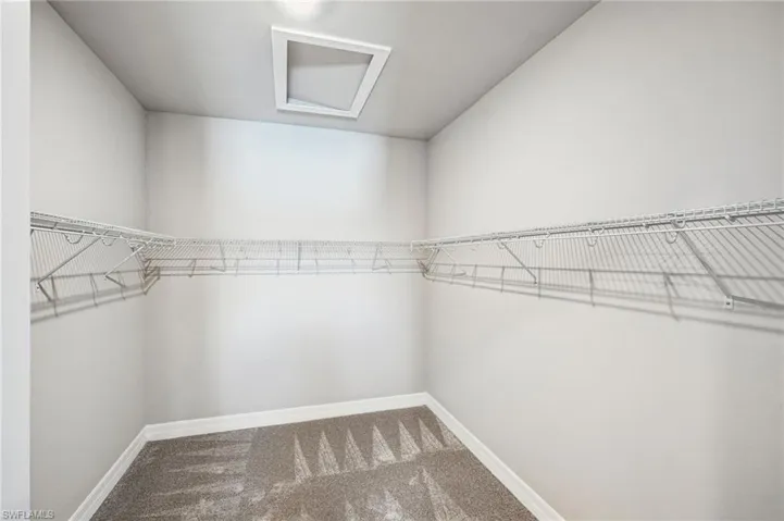 Spacious closet featuring carpet flooring
