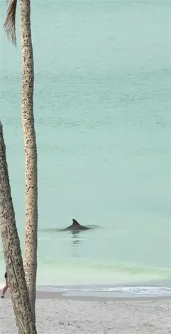 Property view of beachside dolphin