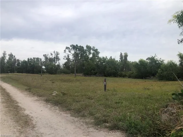 View of dirt / gravel road featuring a view of rural / pastoral area and a wooded view
