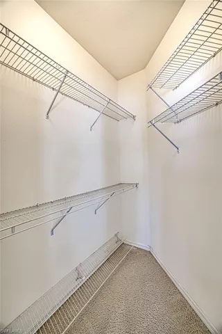 Spacious closet featuring carpet