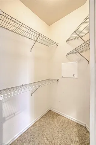 Walk in closet featuring carpet flooring