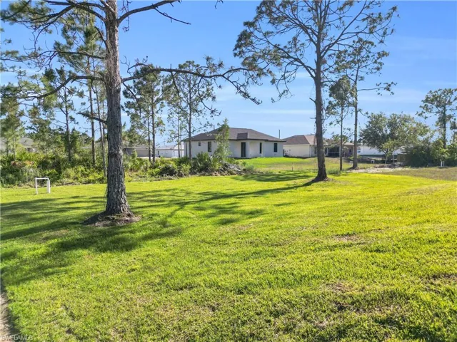 View of grassy yard