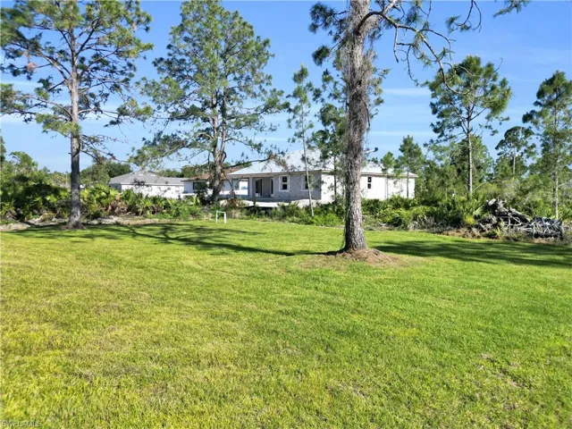 View of grassy yard