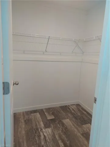 Large walk-in closet in guest bedroom