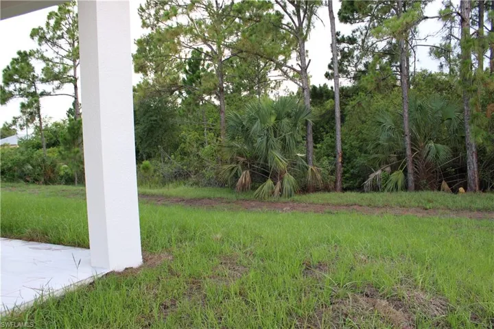 Expansive lot featuring natural landscaping and mature trees, bordered by a concrete patio