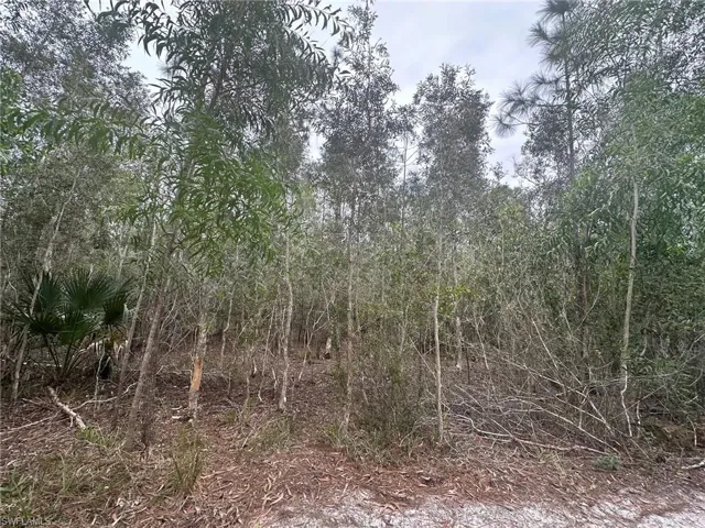 2258 Brooklawn Dr, North Fort Myers, Florida 33917