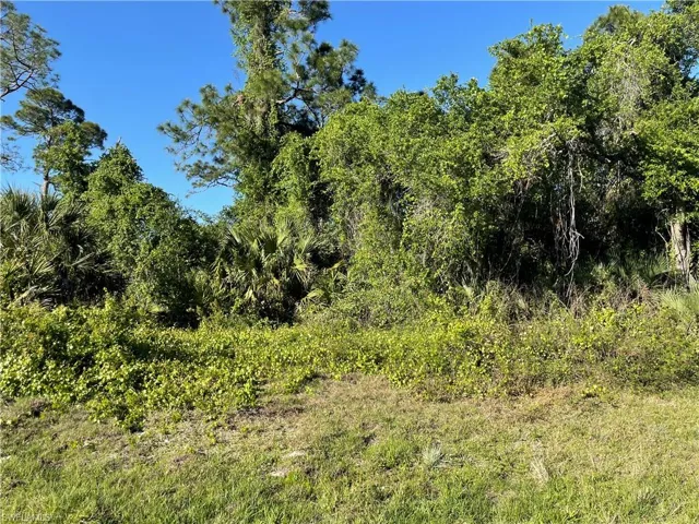 6009 Free LN, LABELLE FL 33935
