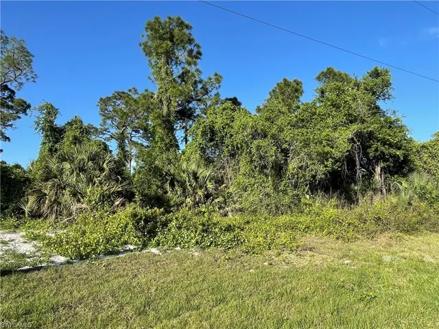 6009 Free LN, LABELLE FL 33935