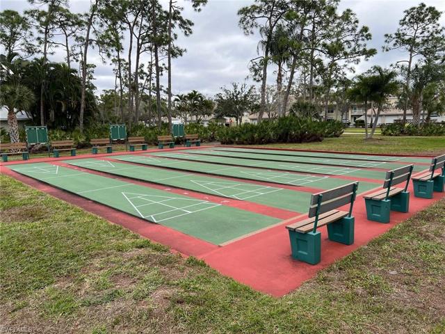 Shuffleboard
